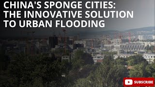 China's Sponge Cities: The Innovative Solution to Urban Flooding