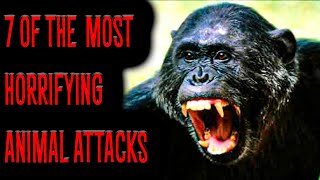 7 Of The Most HORRIFYING Animal Attacks