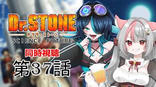 Dr.STONE SCIENCE FUTURE 同時視聴