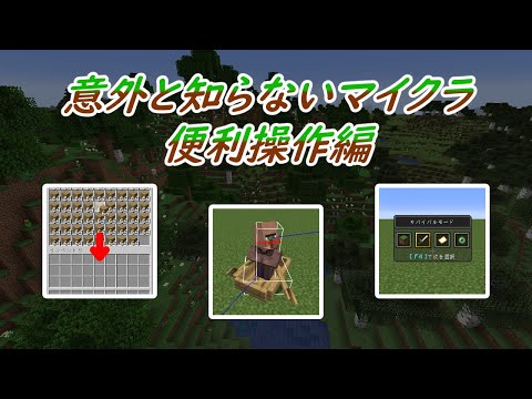 【ゆっくり】意外と知らないマイクラ　便利操作編【JAVA版1.17】
