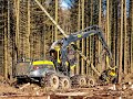 🌲 Finnish-logger *Harvester-teacher* in Scorpion • Ponsse Scorpion - H7 • CraneView • Loggingvideo🌲