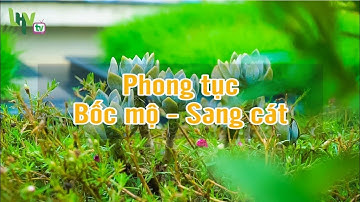 Bản tin Lạc Hồng Viên số 8-2019: Phong tục Bốc mộ - Sang cát