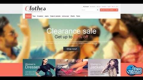Download Responsive Clothes Store Magento Theme by  Hermes TM