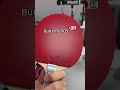 Daily Gear | Viscaria + H3 Prov. Blue (Boosted) + T05 #pingpong