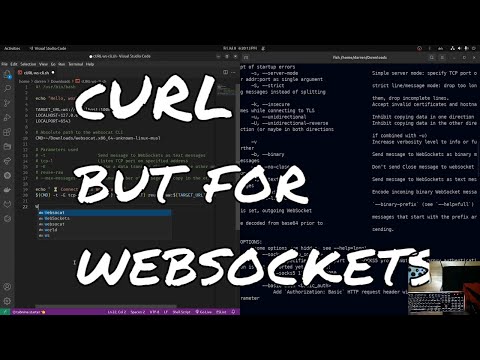 How to cURL but for websockets - Using websocat to perform ws requests via command line