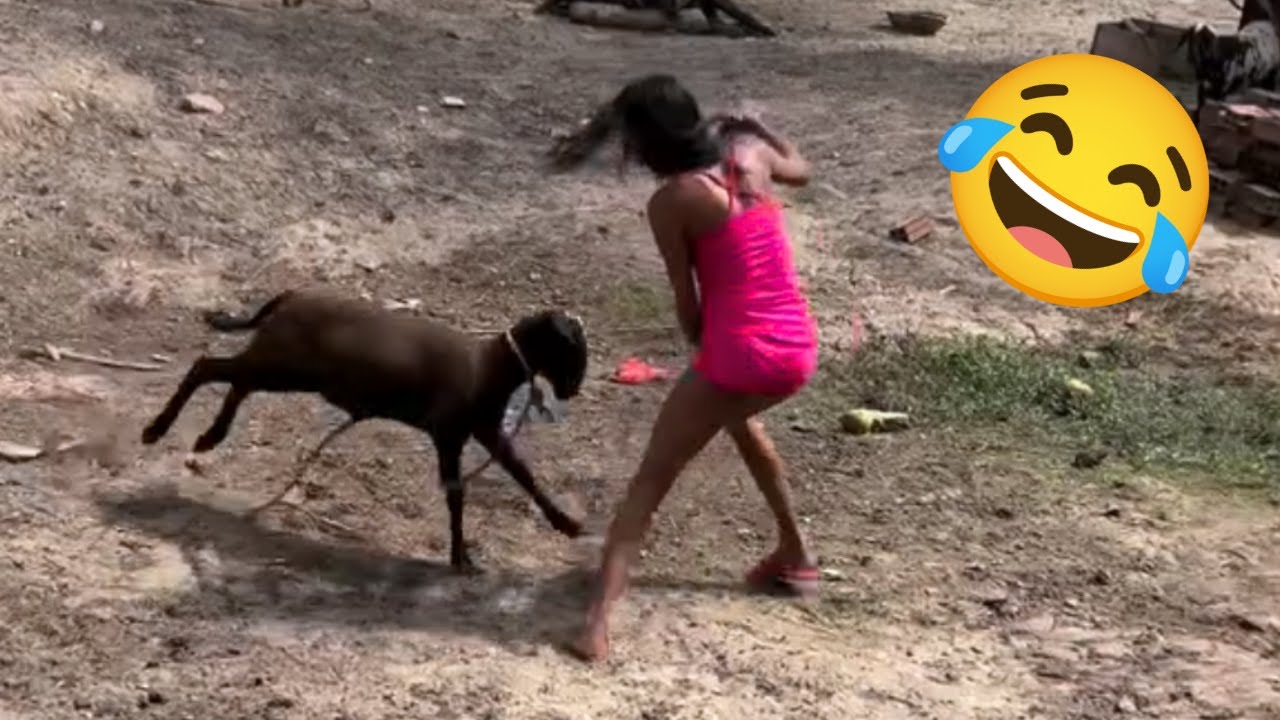 ⁣Kumpulan Momen Kocak & Konyol Bikin Ngakak Sampai Sakit Perut 😂🤣 Video Lucu 2025 #15