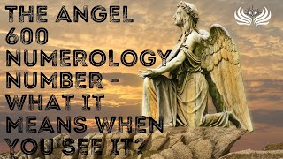 The Angel 600 Numerology Number 🌠 What It Means When You See It? Profile
