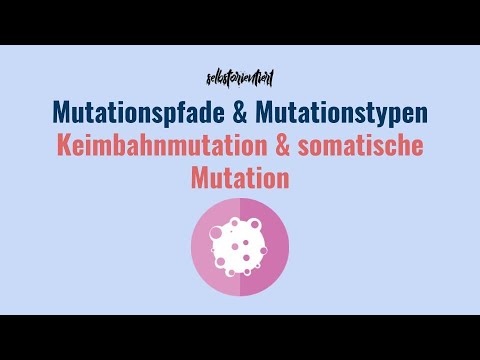 Video: Was ist Guaninbase?