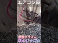 【なんじゃコレ!】エアコン屋現場で見かけた七不思議!なんでこうなった!?#shorts