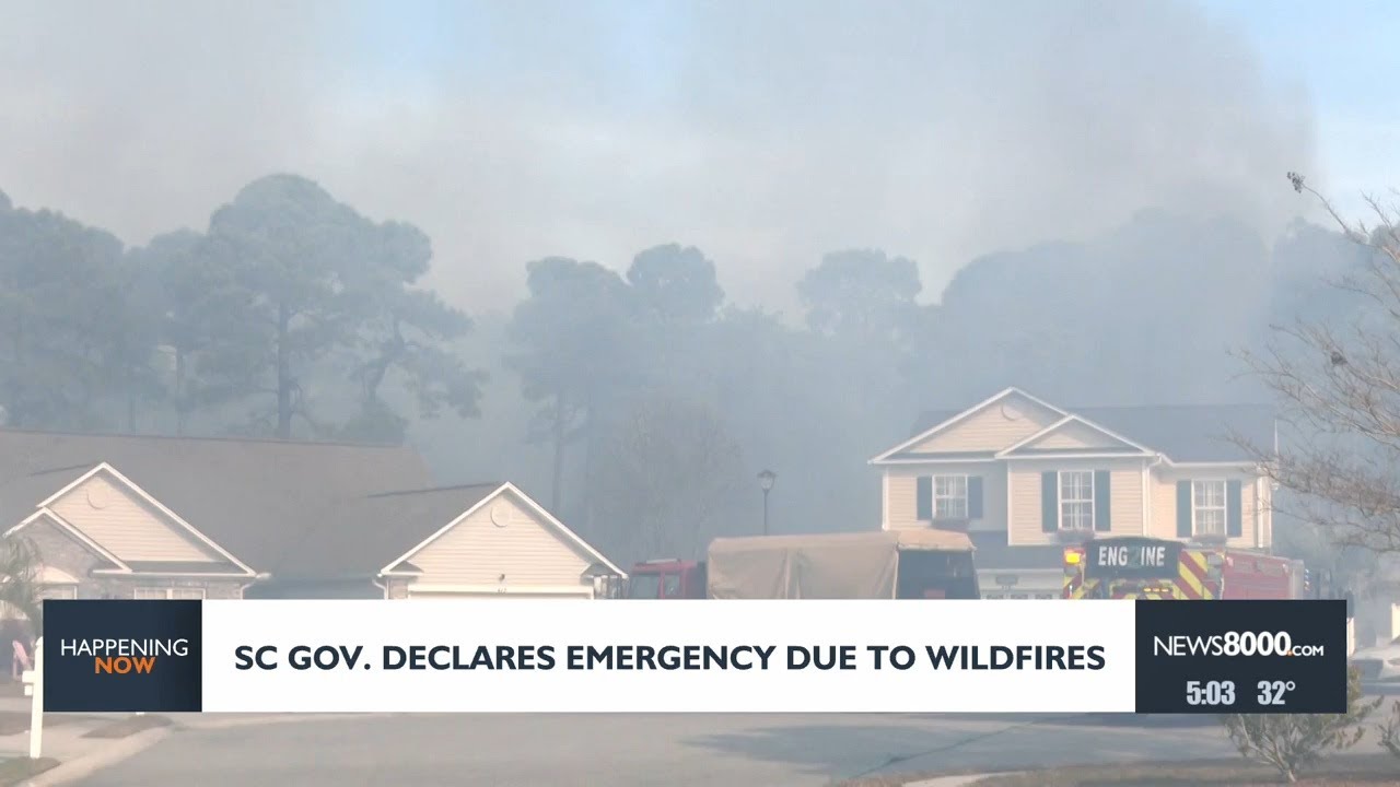 South Carolina governor declares state of emergency as wildfires ...