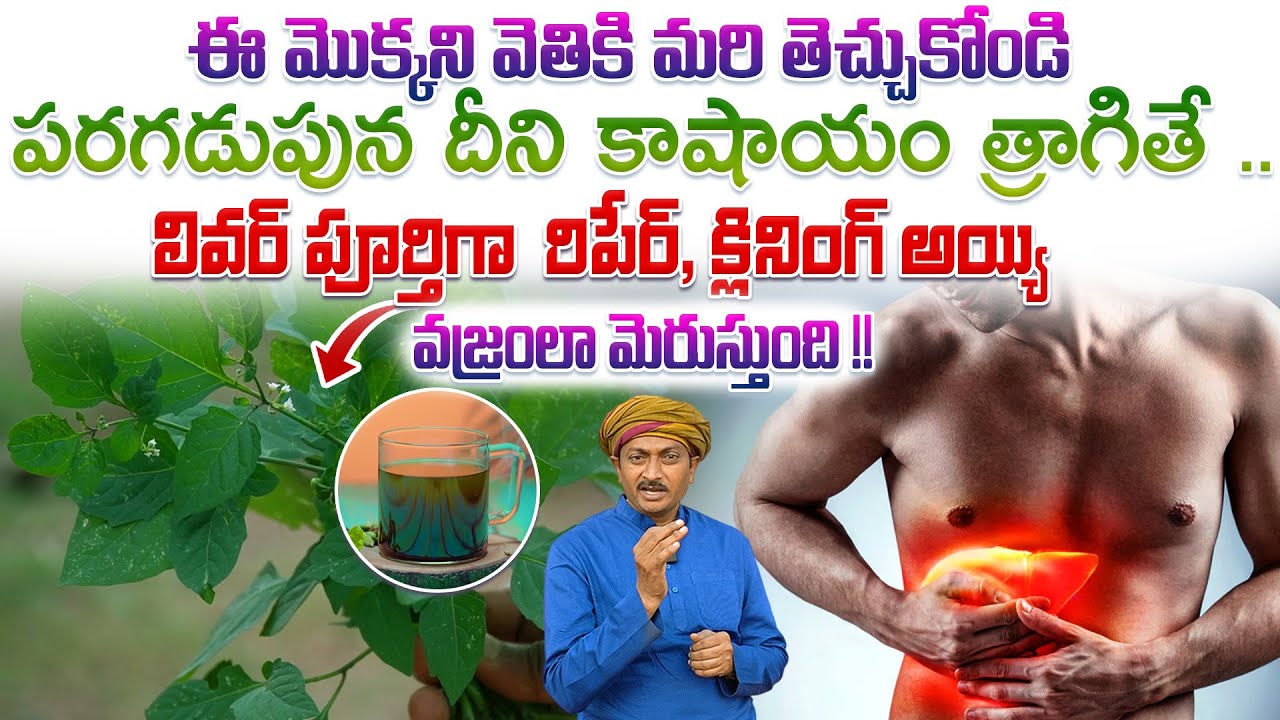 దీని కాషాయం త్రాగితే ..లివర్ రిపేర్,క్లినింగ్ అయ్యి వజ్రంలా మెరుస్తుంది | Dr.Ravivarma | AYUR MANTRA