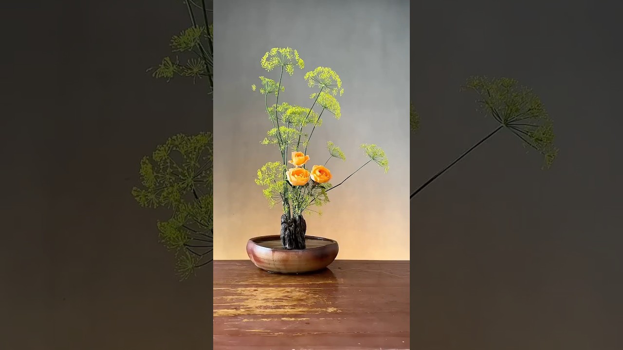 青青河边草，郁郁陌上花，春意盎然！ - YouTube