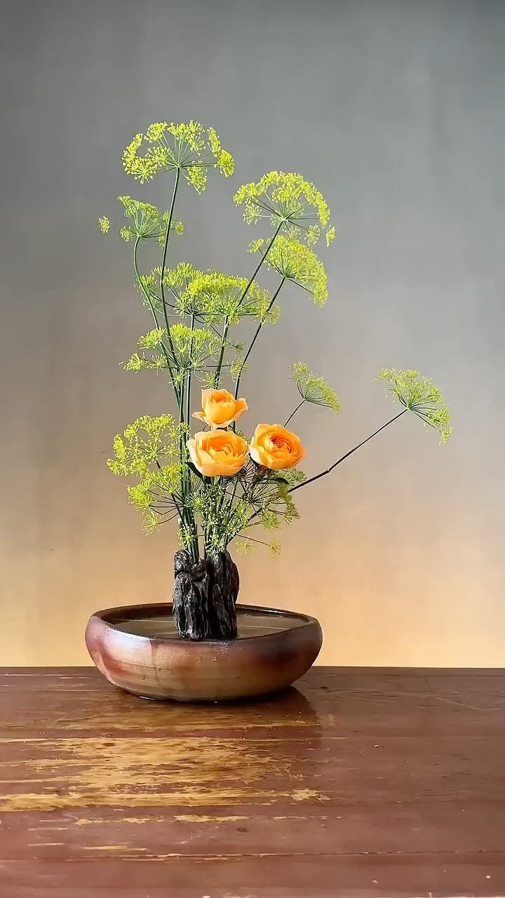 青青河边草，郁郁陌上花，春意盎然！ - YouTube