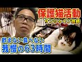 【サンシャイン池崎】家に来て3日以上飲まず食わずの保護猫佐吉が…【猫おじさん!遂に新シリーズ】