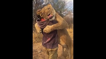 Thumbnail of it's been a long day without you my friend