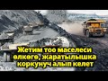 Жетим тоо маселеси өлкөгө, жаратылышка коркунуч алып келет.