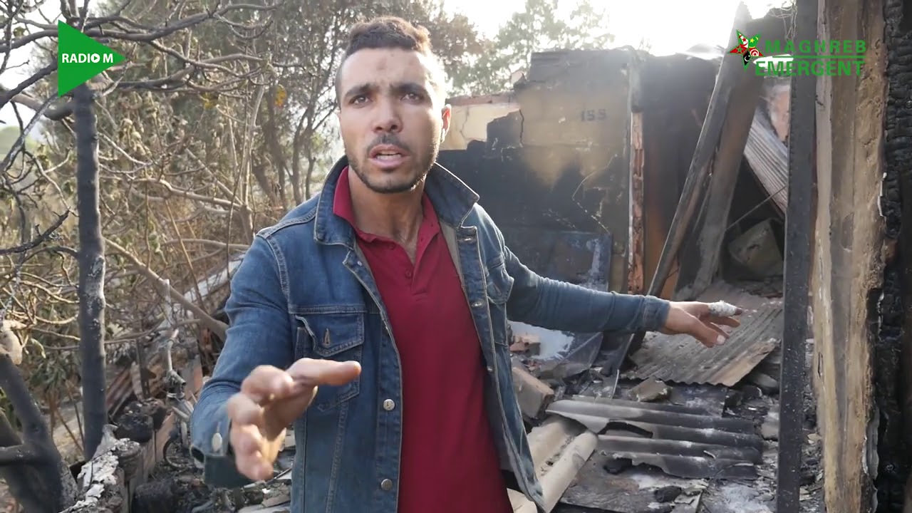 Feux de forêts à Tipasa: scènes de désolation à Gouraya (Tipasa)