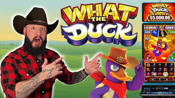 BEST new Slot for Low Budget Players 🦆💰 What The Duck?! INSANELY Good!