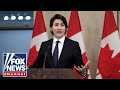Tammy Bruce: Trudeau needs to admit this