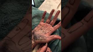 BIO 312: Upper Appendage Practice Part 1
