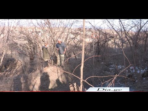 სტიქიური ნაგავსაყრელი გორის მუნიციპალიტეტში და მერიის უარი მოსახლეობას 11.03.2021