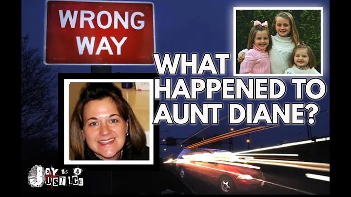 What Happened to Aunt Diane? Diane Schuler Case | Wrong Way Crash Kills 8