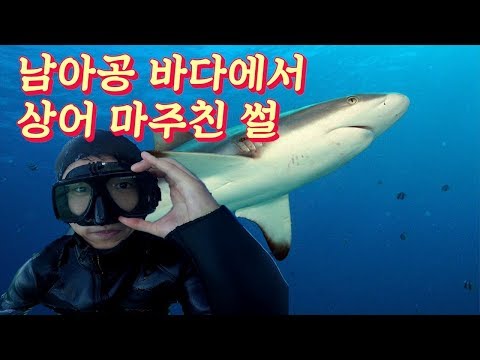 말로만 듣던 상어 다이빙을 도전해보았다 #또떠남 세계여행 09