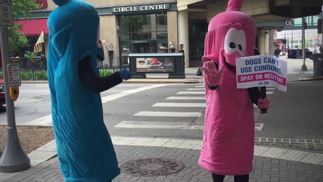 ¡Los condones gigantes están por llegar a tu ciudad! veterinario caguas