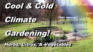 11 Gardening Tips w/ Examples, What I Am Growing in the Late Fall & Winter Garden - Viewer Request