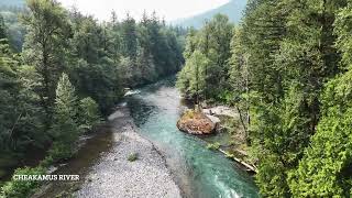 Aerial View for Cheakamus River on Cheakamus Canyon Trail BC Canada July 16,2026
