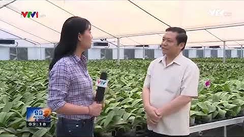 Triển vọng nông nghiệp Việt Nam trong bối cảnh cuộc cách mạng 4 0