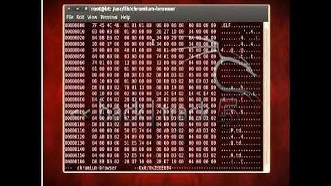 backtrack 5 |chromium browser| Elevate privilege