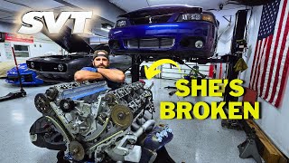 I Took My NEW 03 SVT Cobra Engine Apart and Found MORE INTERNAL DAMAGE. Can I Fix It??