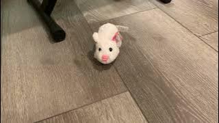 Zhu Zhu Pet Unboxing #4: Fluffy