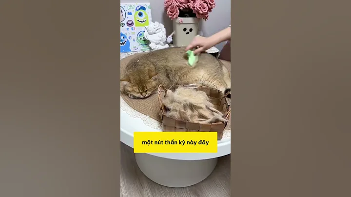 Mùa rụng lông không còn đáng sợ với chiếc lược này #shopthucung #fyp #pet #cat #dog #cutecat