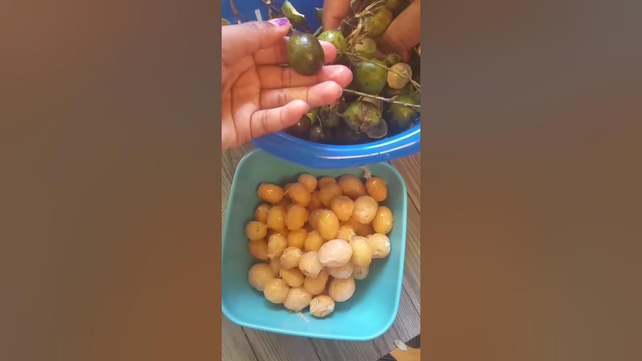 How to Make Homemade Guinep Lemonade YouTube