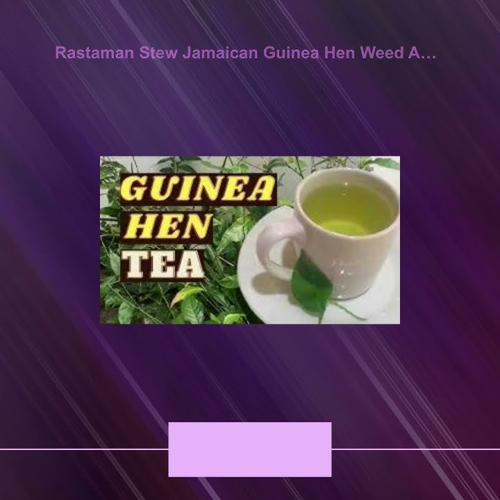 Rastaman Stew Jamaican Guinea Hen Weed Anamu Tea Leaves Stems and Roots Grounded and Blended Wilc...