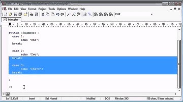 Beginner PHP Tutorial - Lesson №28 - switch Statement