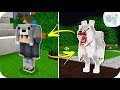 GECELERİ KURT ADAM OLUYORUM! - Minecraft