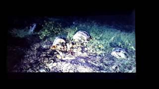 Crysis  by cryengine