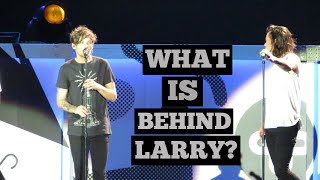 What is behind Harry + Louis? (Larry Stylinson 2010-2015)