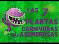 Las 7 plantas carnívoras mas asombrosas