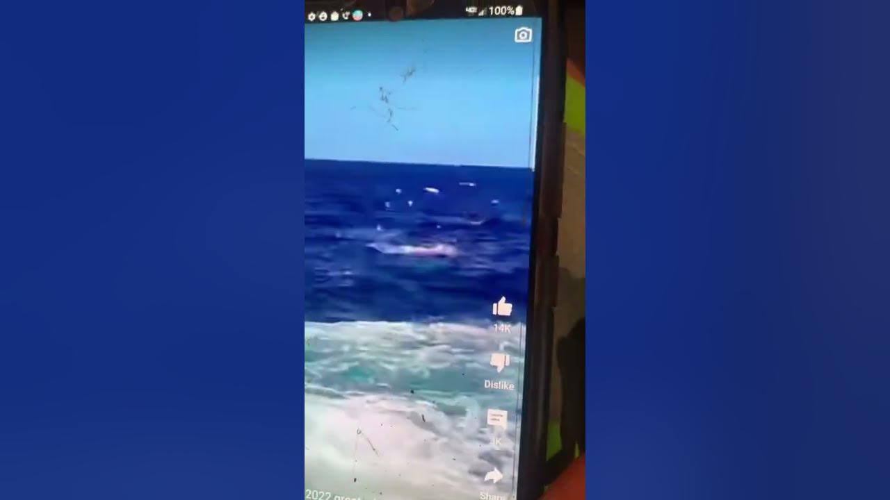 Horrific video of Man eaten by shark , in Australia YouTube