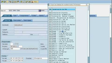 IW31 REEMPLAZO 02 10 2013