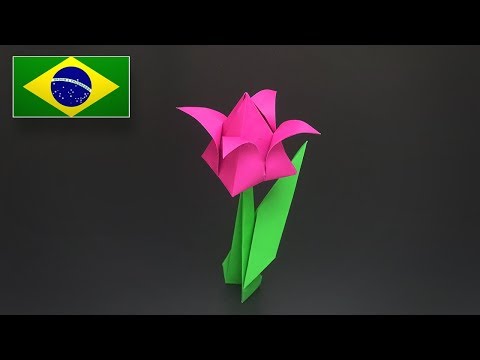 Vídeo: Como Fazer Uma Tulipa De Papel