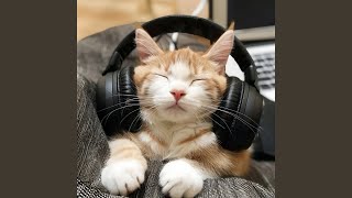Silent Paws Rhythm