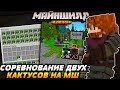 ЧЕЛЛЕНДЖ ДВУХ КАКТУСОВ / Желание проигравшему / Майншилд 2