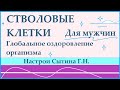 Стволовые клетки  Глобальное оздоровление организма Для мужчин  Настрои Сытина Г.Н.