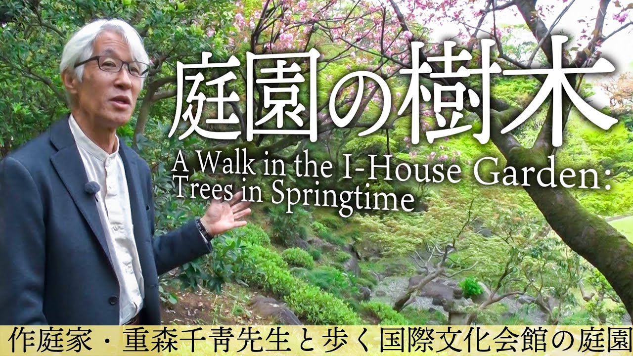 重森千靑先生と歩く国際文化会館の庭園～春：樹木編 / A Walk in the I-House Garden: Trees in Springtime