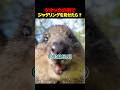 世界一幸せそうな観客ww